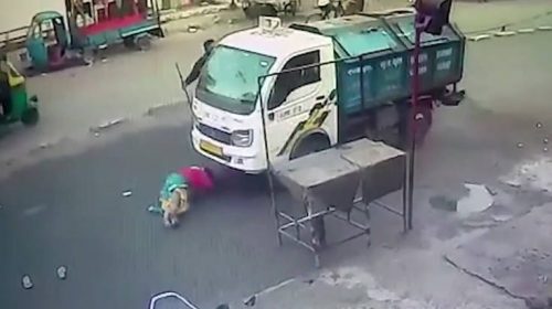 Πέρασε από πάνω της κοτζάμ φορτηγό και δεν άνοιξε ούτε ρουθούνι