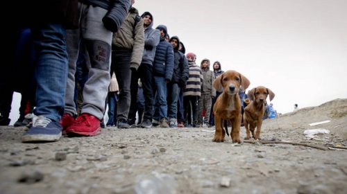 Μειωμένες οι παράνομες διελεύσεις το 2018 στα ευρωπαϊκά σύνορα