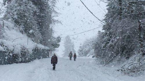Ορατότης μηδέν και πολλά προβλήματα στον Καναδά από ισχυρή χιονοθύελλα