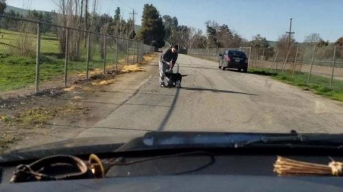 Η αλήθεια γύρω από το βίντεο με την εγκατάλειψη ενός σκύλου από τον «ιδιοκτήτη» του