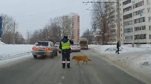 Ο αστυνομικός που σταμάτησε την κυκλοφορία για να περάσει ένας σκύλος