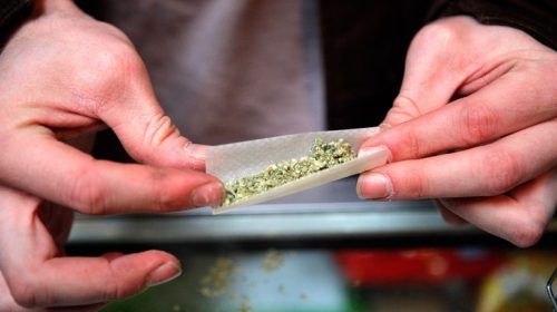 Ήθελε ένα ήσυχο μέρος για να καπνίσει μαριχουάνα αλλά τον περίμενε μία μεγάλη έκπληξη