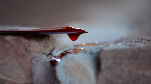 Ηλικιωμένη μαχαίρωσε και σκότωσε 7χρονο την ώρα που γυρνούσε από το σχολείο