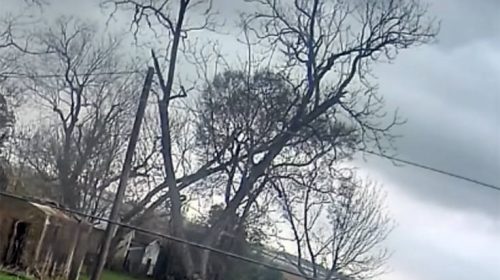 Συγκλονιστικό βίντεο με τη βουτιά αεροπλάνου λίγο πριν τη συντριβή