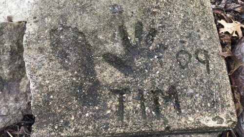 Σε μπελάδες πρώην κατάδικος που ισχυρίστηκε ότι είναι το αγόρι που αγνοείται από το 2011