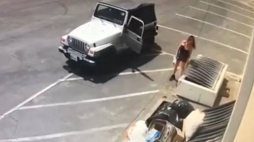 Η αστυνομία βρήκε 38 σκύλους στο σπίτι της γυναίκας που πέταξε στα σκουπίδια νεογέννητα κουτάβια