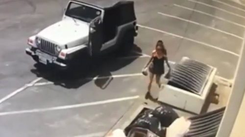 Γυναίκα πετάει νεογέννητα κουτάβια στα σκουπίδια και φεύγει