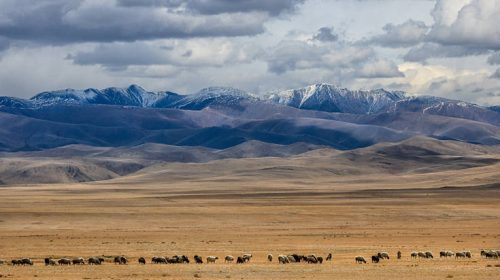Συναγερμός στη Μογγολία μετά από δύο θανάτους από βουβωνική πανώλη