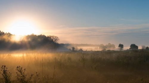 Τόσα στρέμματα έχουν στην κατοχή τους οι μεγαλύτεροι Αμερικανοί τσιφλικάδες