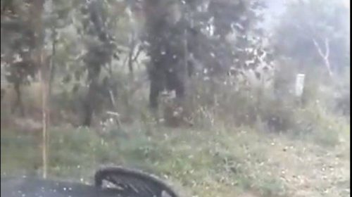 Μια νεκρή τουρίστρια από την κακοκαιρία στη Γαλλία