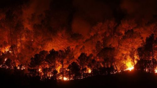 Μεγάλη πυρκαγιά κατακαίει δάσος στην Καταλονία