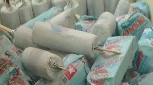 Τι δώρο έκανε ο Πούτιν στον Σι Τζινπίνγκ για τα γενέθλιά του