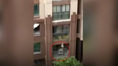 Ένα 3χρονο αγοράκι έπεσε από ύψος 5 ορόφων και επέζησε