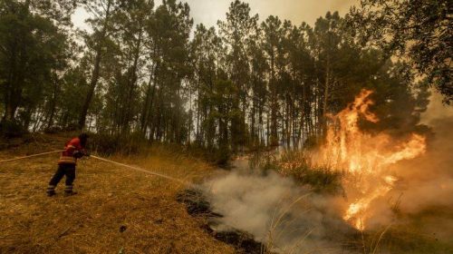 Οι πυροσβέστες στην Πορτογαλία ελπίζουν να κατασβέσουν τις πυρκαγιές σήμερα