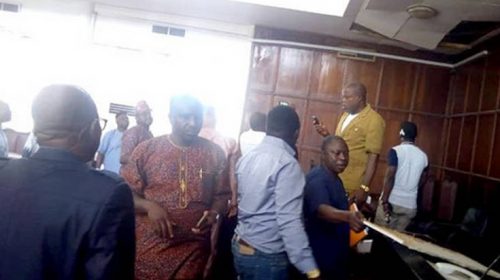 Φίδι έπεσε από το ταβάνι και έκανε βουλευτές να τρέχουν