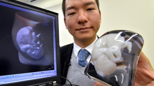 Υβρίδια ανθρώπων και ζώων ετοιμάζουν επιστήμονες στην Ιαπωνία