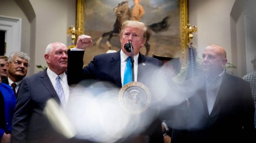 Έτοιμος να υπογράψει νομοσχέδιο για τον προϋπολογισμό ο Ντόναλντ Τραμπ