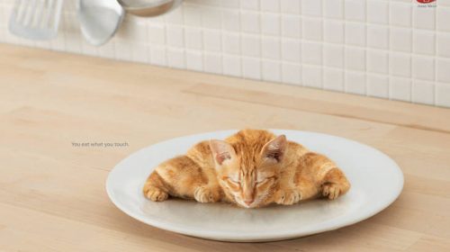 Πέντε έντυπες διαφημίσεις που έκαναν τη μεγάλη διαφορά