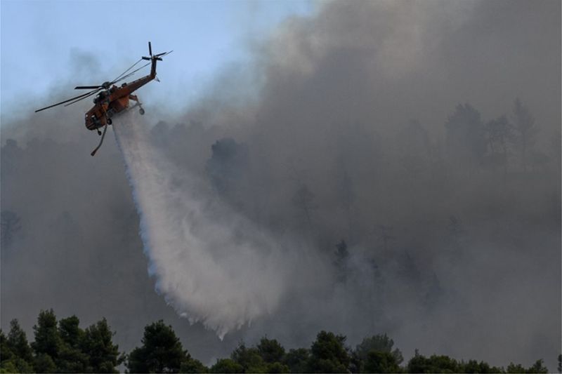 Μαρτυρία σοκ για την πυρκαγιά στη Μακρυμαλλη Μαρτυρία σοκ για την πυρκαγιά στη Μακρυμαλλη