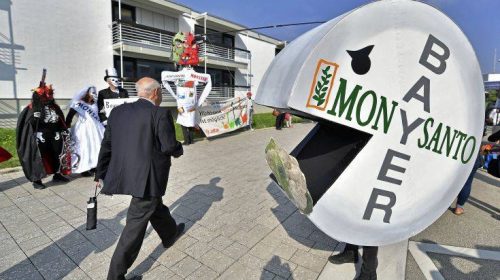 Η Monsanto παραδέχθηκε ότι χρησιμοποίησε παράνομο ζιζανιοκτόνο στη Χαβάη