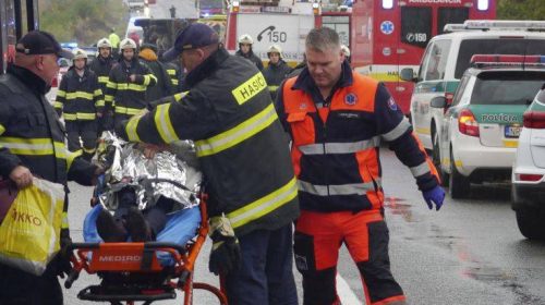 Πνίγηκαν προσπαθώντας να σώσουν αδέσποτους σκύλους