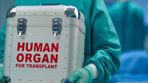 Σπουδαστής όπερας δώρισε το ήπαρ στον πατέρα του παρά τον κίνδυνο να χάσει τη φωνή του