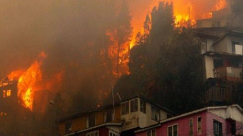 Χιλή: Καταφύγιο για τα κατοικίδια που έμειναν άστεγα από τη πυρκαγιά στο Βαλπαραΐσο