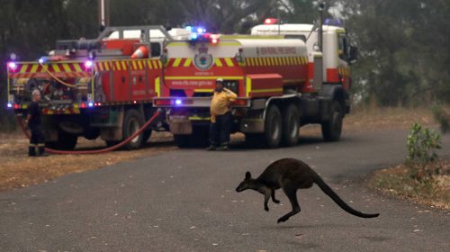 Αυστραλία: Οι πυρκαγιές απειλούν τα αποθέματα νερού του Σίδνεϊ