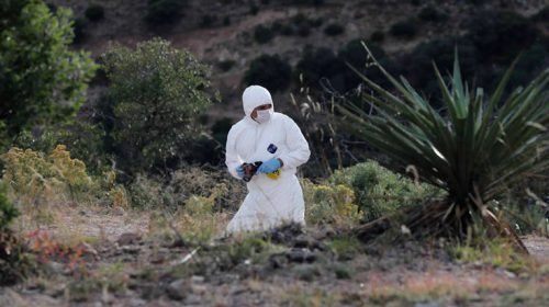 Ομαδικός τάφος με τουλάχιστον 29 πτώματα ανακαλύφθηκε στο Μεξικό