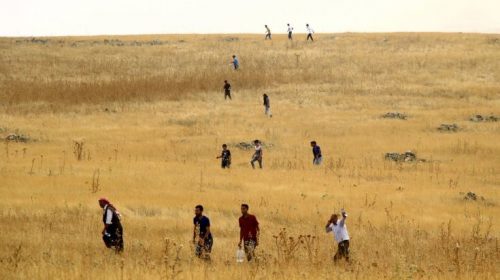 Anadolu: Η τουρκική ΜΙΤ σκότωσε ηγετικό στέλεχος του ΡΚΚ