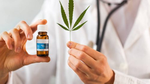 Έτοιμη η Ιταλία να χρησιμοποιήσει κάνναβη στα τρόφιμά της