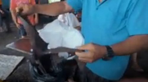 Ανοιχτές παρά τον κορονοϊό οι αγορές που πουλάνε νυχτερίδες και φίδια