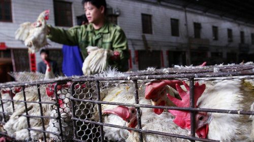 Άνοιξε η αγορά την Ουχάν από όπου φέρεται να ξεκίνησε ο φονικός ιός – Δείτε πώς είναι και τι πουλάει