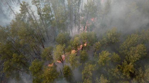Κατασβέστηκε η φωτιά κοντά στο πρώην πυρηνικό εργοστάσιο του Τσερνόμπιλ