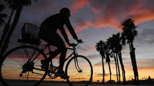 Κορονοϊός: Παραδοχή κορυφαίου συμβούλου υγείας ότι ο Τραμπ αντέδρασε καθυστερημένα