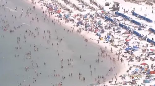 Η Φλόριντα στον “κόσμο” της