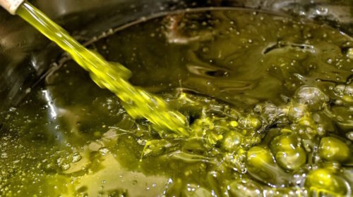 Υπό πίεση ο Έλληνας παραγωγός: Κατρακυλά η τιμή του έξτρα παρθένου, αυξάνονται οι εισαγωγές