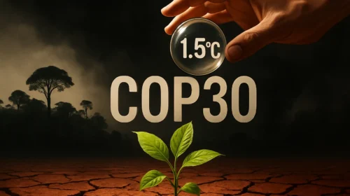 Τι Συζητείται στην COP30 και Πώς Αλλάζει το Μέλλον του Πλανήτη