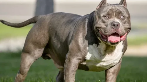 «Μου χαμογέλασε και έκλεισε τα μάτια του»: Συγκλονίζει ο πατέρας του 2χρονου στη Ζάκυνθο