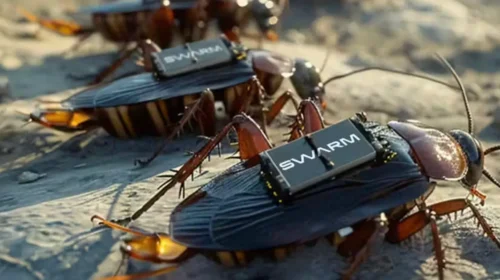 Κατσαρίδες-Πράκτορες: Πώς ο στρατός τις μετατρέπει σε τηλεκατευθυνόμενα «ρομπότ»