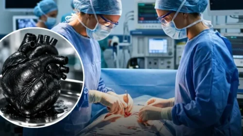 Το Μυστήριο της «Μαύρης Καρδιάς»