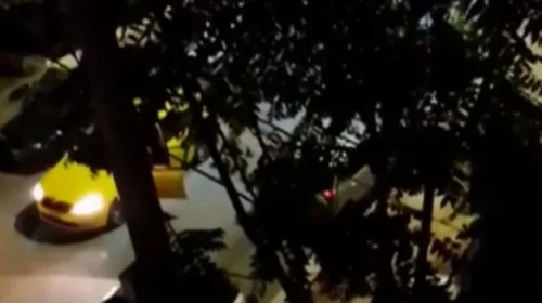 Στη φυλακή ο 35χρονος που έκοψε το αυτί της οδηγού ταξί στη Νέα Ιωνία – Οι δικαιολογίες που δεν έπεισαν